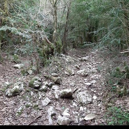 Hamiti Camping Center Dukat Kültér fotó