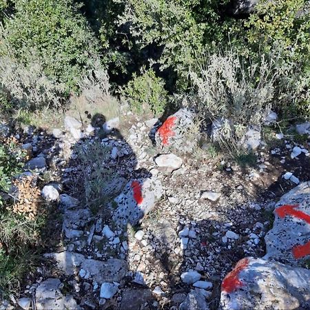 Hamiti Camping Center Dukat Kültér fotó