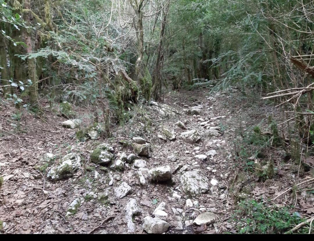 Hamiti Camping Center Dukat Kültér fotó